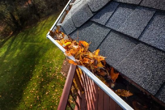 Gutter Cleaning Holly Springs Nc